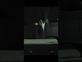 A Security Camera Catches A Moose Breaking Through A Fence!