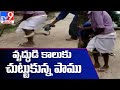 Huge snake coils itself around elderly man’s legs in Karimnagar district