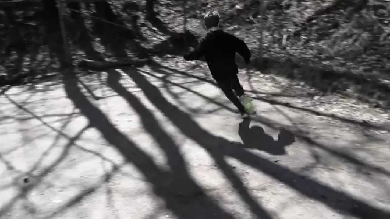 Electronic - Fischer und Freunde