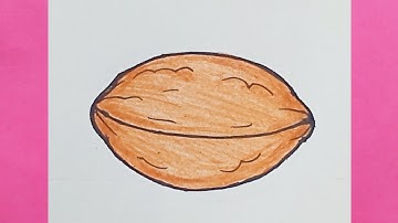 How to Draw A WALNUT  || easy Walnut Drawing step by step 