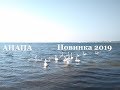 Анапа. Новинка сезона 2019. Прогулка у моря.