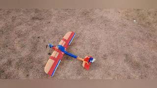 Celebrity 48cm  epp glider RC conversion (2 wings connected) Net Worth