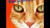 Le Chat Et Le Soleil Maurice Careme Youtube