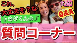 UberEats食べながらトカゲくんが質問に答えていくけど答えになってないし母の愚痴大会で何これって感じの動画でぇ〜す🦎