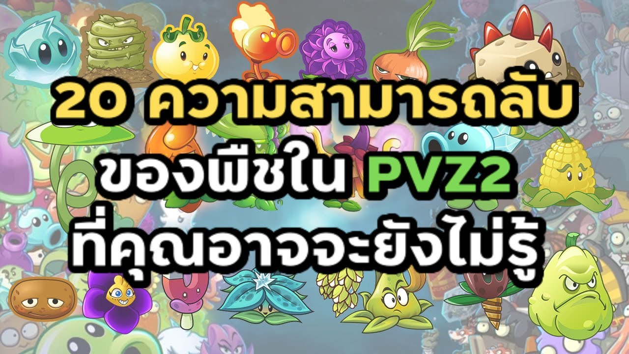 20 ความสามารถลับของพืชใน PVZ2 ที่คุณอาจจะยังไม่รู้ 