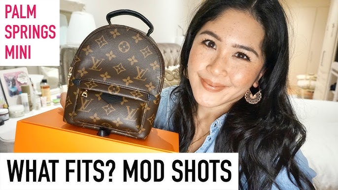 LOUIS VUITTON PALM SPRINGS MINI BACKPACK - REVERSE MONOGRAM - MOD SHOTS AND  WHAT FITS 