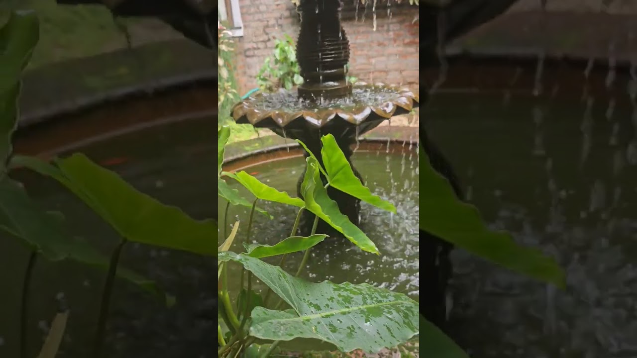 Awesome Water fountain | Garden waterfall idea | Beautiful place | Decorate your garden