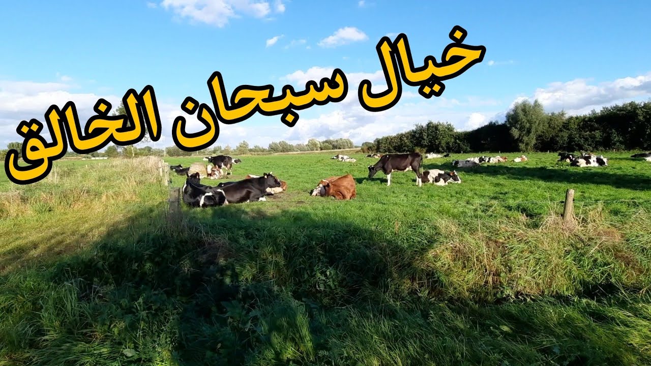 الريف البلجيكي لقرية اوبويك خيال سبحان الخالق