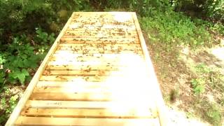 This is an inspection of a horizontal hive. hive was split on 4/17 and
to look for laying queen. we looked last week didn't see...