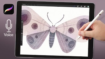 Watercolor Moth in Procreate // Painting Tutorial