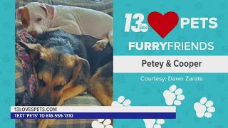 Furry Friends:  July 15, 2022 | Petey & Copper and Honey