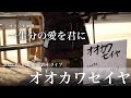 オオカワセイヤ新宿駅路上ライブ   オリジナル曲『 一生分の愛を君に』2022.05.04