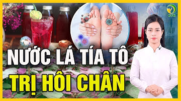 4 cách dùng nước lá tía tô hiệu quả, ai cũng nên biết - KHỎE TỰ NHIÊN
