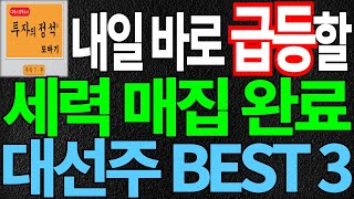 내일 바로 급등할 세력 매집 완료 대선주 BEST 3 (이재명관련주 대선주 대선관련주 급등주 퓨리오사AI 세종시 이전 정책주 대장주) 디에스경제뉴스 또바기