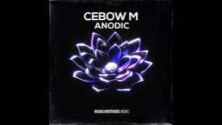 Cebow M, Max SA - IDK (Original Mix)
