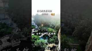 新歌速递【爱已随风情成空】#音乐人种草计划