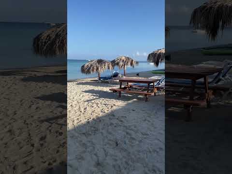 Videó: Fun Vacation Fun Negrilben, Jamaicában