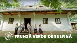 Surorile Osoianu - Frunză verde de sulfină