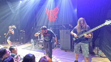 DEFEATED SANITY live in Saigon 30/07/2024
