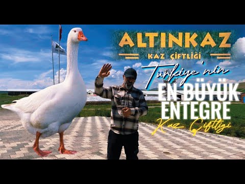 Türkiye'nin En Büyük