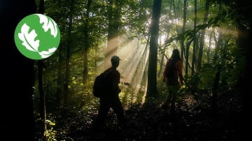 Volunteering for Nature