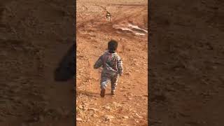 Criança Correndo Do Cachorro Ças