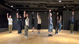 TREASURE(트레저) - 'EVERYTHING' DANCE PRACTICE VIDEO 에브리띵 안무영상 선공개
