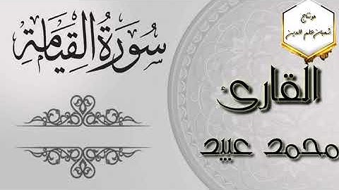 محاكاة الشيخ أبو بكر الشاطري من أجمل الأصوات وتلاوة سورة القيامة للقارئ/ محمد عبيد