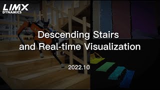 Descending Stairs and Real time Visualization