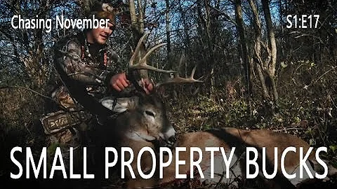 Chasing November S1E17 | Small Property Bucks