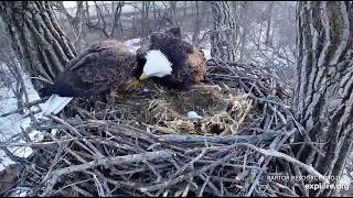 Decorah Eagles,Fresh Fish For Dinner&amp;Tug-O-Fish 3/2/20