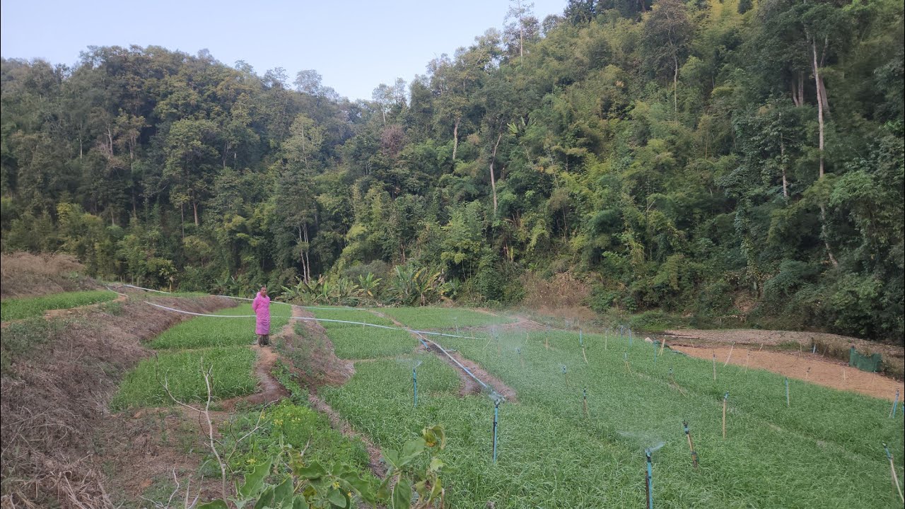 Review farm in winter season and how agriculture family works 💪 