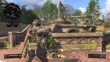 BO4 Third Person Combat Axe Final Kill
