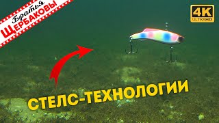 видео: Как раттлин MADNESS играет на глубине? Подводные съемки. Зимняя рыбалка картинка: Как раттлин MADNESS играет на глубине? Подводные съемки. Зимняя рыбалка