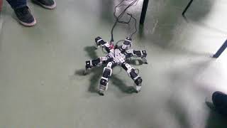 Harlem shake hexapod | Robotics initiation class 2015