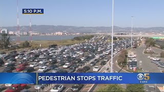 Woman Walking On Bay Bridge Causes Huge Delays