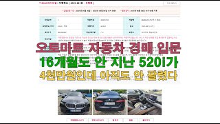 🧨 36만원 에쿠스, 330만원 캐딜락, 4천만원짜리 2024 520i?! 이게 진짜 실화냐?! [오토마트 자동차 경매 및 공매 시리즈]