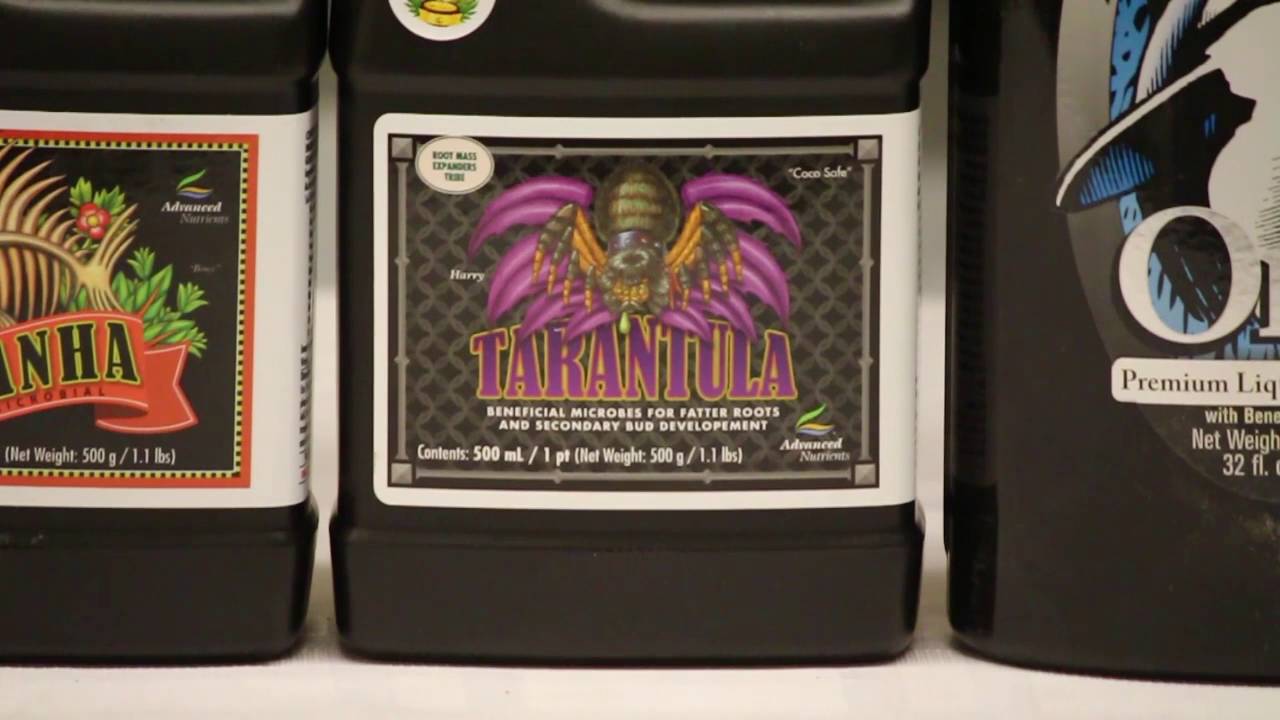 Using Microbes in Your Garden