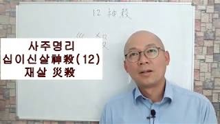 사주명리 십이신살神殺(12) 재살災殺