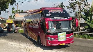 KONVOI TELOLET BASURI BUS NAFIT TRANS MAMA MUDA DAN DEWI SRI WULAN GESANG 24 NOT DI CELOSIA 
