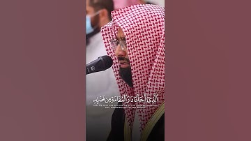 النبرة القطامية الشهيرة تلاوة الشيخ ناصر القطامي سورة فاطر.