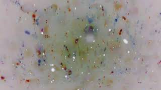 Lark Wool Incidental Music