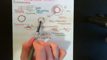 The Immune System Part 3