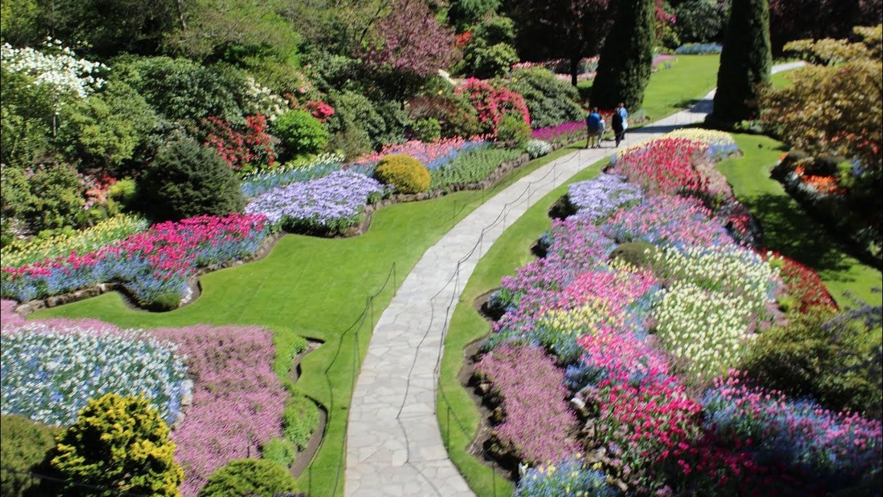 No. 1 Tourist Attraction in Victoria, British Columbia