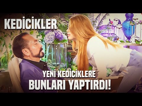 Kedicikler Hakkında Anlatılmayan Gerçekler...