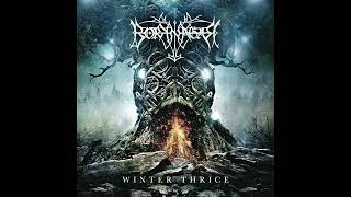 Borknagar - 5 When Chaos Calls | Winter Thrice 2016 #progressivemetal #blackmetal