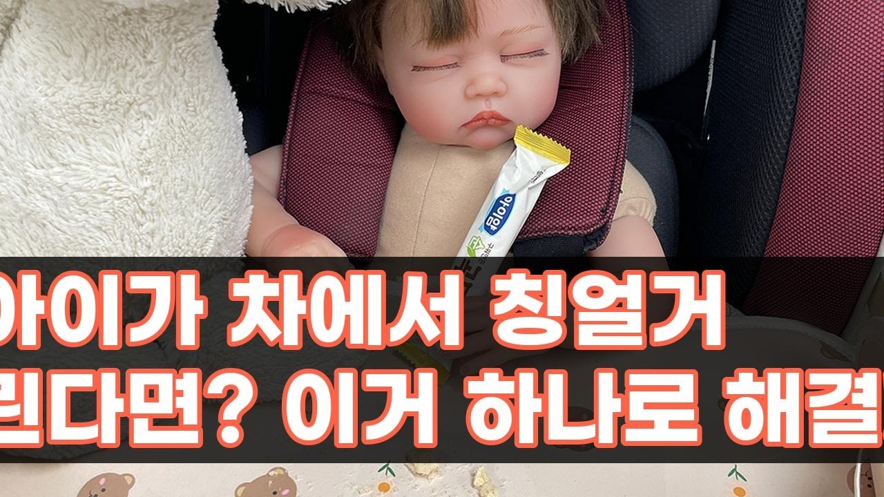 외출 필수템! 베베코지 카시트 트레이로 아이와 편안한 여행 준비하세요!