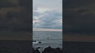 사랑할순없는지..다섯손가락 제주도 제주시 삼양에서.. | 1:01