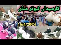 Fancy pigeon market kallar syedan l latest update fancy kabootar price 1642024 l kabutar bazar 