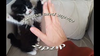 Göbegime Dokunma Dont Touch My Navel